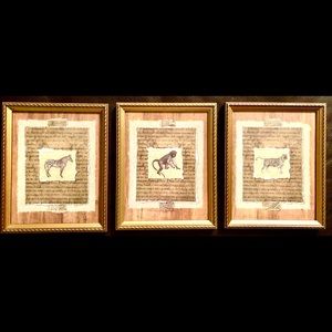 8”x10” Framed Animal Prints